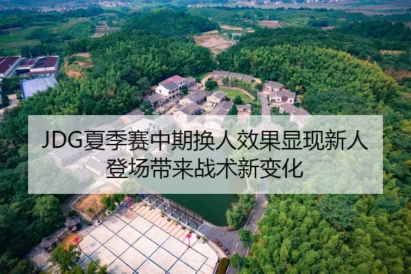 JDG夏季赛中期换人效果显现新人登场带来战术新变化